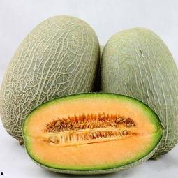 爱回家吃哈密瓜,共享哈密瓜的甜蜜时光