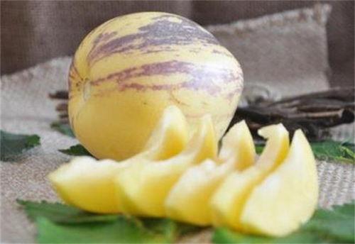 吃茄瓜突然呕吐,突发呕吐背后的健康警示