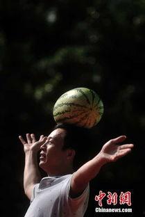 吃瓜群众王鼻子,揭秘娱乐圈那些不为人知的吃瓜故事