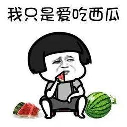 快乐吃瓜网名大全,趣味横生的昵称盛宴