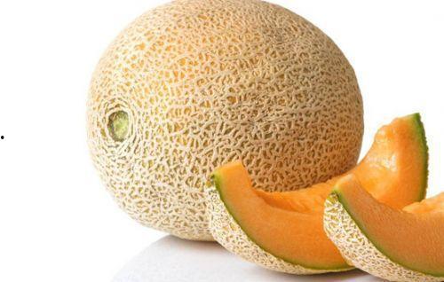 狗熊吃哈密瓜,一场森林中的美味邂逅