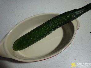 小脆瓜是乳瓜吗怎么吃的