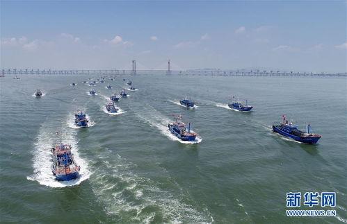 吃瓜渔船出海,渔船出海的悠闲时光