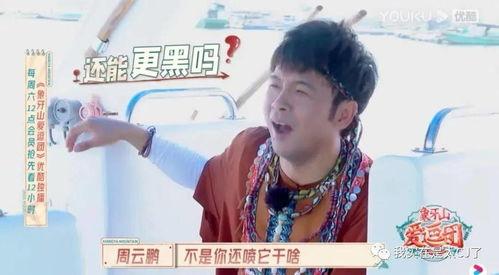 宝哥吃瓜合集,揭秘娱乐圈那些不为人知的幕后故事