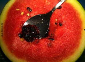 带你吃瓜奇葩水杯,带你探索“带你吃瓜”的奇幻世界