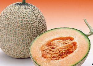 孕八周吃哈密瓜防吐吗,孕期营养新选择”