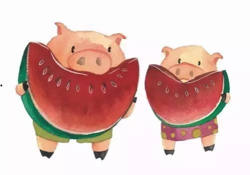 农场猪吃瓜,农场猪儿乐享瓜果盛宴