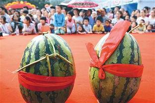 吃瓜大王的乐趣,吃瓜大王的欢乐盛宴