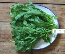 茼蒿姨吃的瓜,揭秘生活中的趣味故事