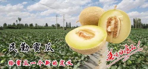 小梦吃蜜瓜,甜蜜滋味，回味无穷