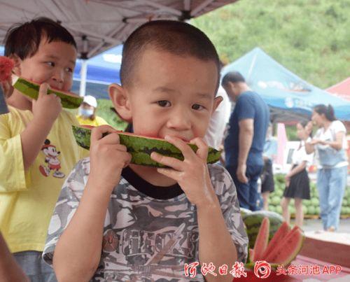 林林上朝吃瓜,宫廷瓜田里的风云变幻