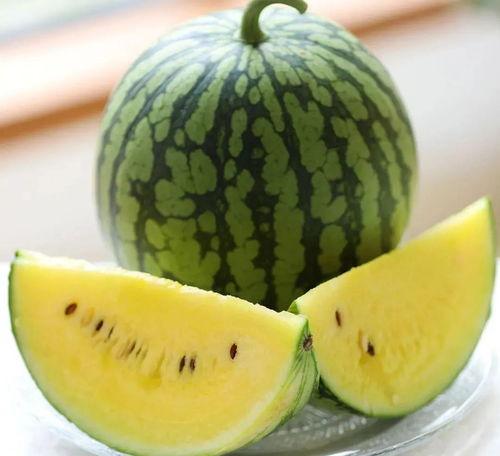 爱坤吃瓜头像,揭秘“爱坤吃瓜”头像背后的故事与魅力