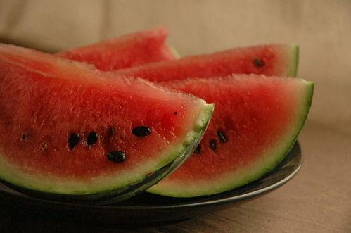 琵琶吃瓜,探寻古韵与现代生活的交融