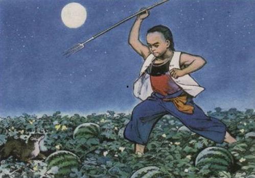 吃瓜少年SJY,揭秘娱乐圈幕后故事