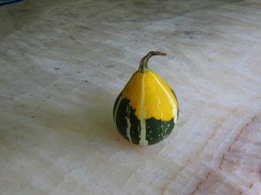 吃瓜吃的拳头硬了,吃瓜也能吃出“拳头硬”的奥秘