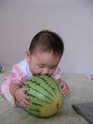 朵朵和麦奇吃瓜,瓜田里的欢乐时光