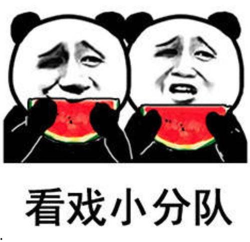 吃瓜表情包吃瓜子,回味那些欢乐瞬间