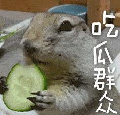 瓜哥带你吃瓜呆萌的动物