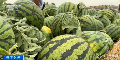 今日吃瓜 热门大瓜 每天更新,揭秘今日热门大瓜，新鲜资讯一网打尽