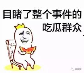 吃瓜不忘,揭秘娱乐圈幕后真相