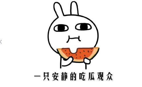 吃瓜搞笑介绍文案图片,图解欢乐瞬间！