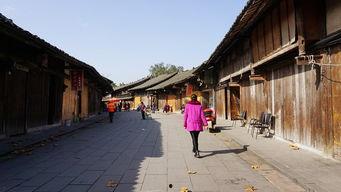 新场镇新品崩瓜怎么吃,多味食法，解锁夏日清新口感