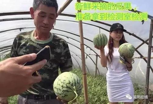 看吃瓜群众直播,看吃瓜群众如何演绎网络直播新潮流