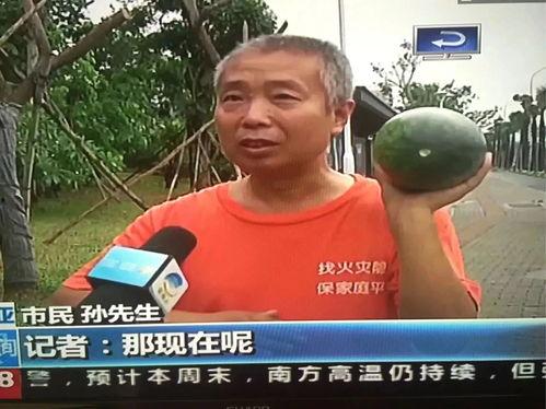 泊头吃瓜群众事件