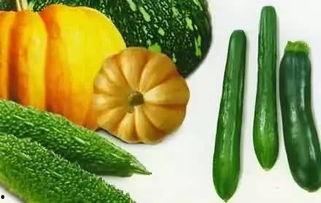 亚当吃瓜,一场关于成长与启示的奇幻之旅